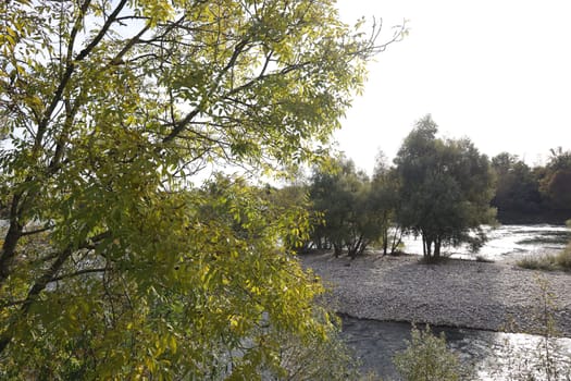 Autumn atmosphere at the Isteiner Schwellen on the Rhine near Efringen-Kirchen (Lörrach district). In bright sunshine,numerous excursionists from Germany and abroad took advantage of the beautiful late summer weather on Sunday to take a trip to the Rhine.