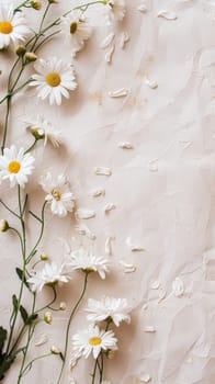 An elegant arrangement of fresh white daisies with vibrant yellow centers, scattered petals and buds on a cracked beige surface, exuding simplicity and tranquility