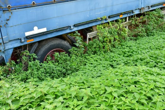 truck forgotten in a meadow