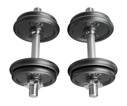 Cast Iron Black Adjustable Dumbbells, weightlifting gym equipment, side view, isolated on white background. 3D illustration