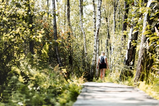 Summer trip in the forest. Woman walking along wooden footpath. Weekend activity. Outdoor activity. Summer recreation. Rear view of woman walking through the forest