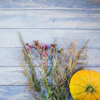Top view of autumn orange pumpkins and dry flowers and grass thanksgiving background over blue toned wooden table with copy space. Square Template for fall harvest mood text