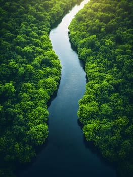 Aerial photography of a summer landscape with a quiet river surrounded by lush green trees, with clear sky reflecting on the water surface. Suitable for advertising for a eco-tourism campaign.