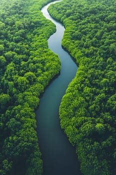 Aerial photography of a summer landscape with a quiet river surrounded by lush green trees, with clear sky reflecting on the water surface. Suitable for advertising for a eco-tourism campaign.