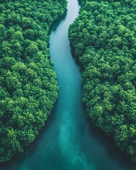 Aerial photography of a summer landscape with a quiet river surrounded by lush green trees, with clear sky reflecting on the water surface. Suitable for advertising for a eco-tourism campaign.