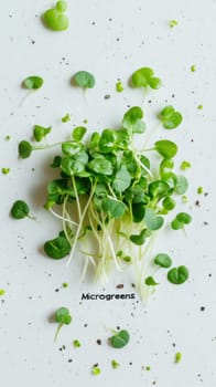 Microgreens sprouts background, concept of healthy eating, copy space, AI Generated