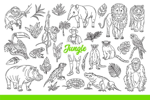 Wildlife of tropical jungle with animals and plants, or man traveling through rainforest. Inscription jungle among exotic flora and dangerous fauna from southern islands. Hand drawn.