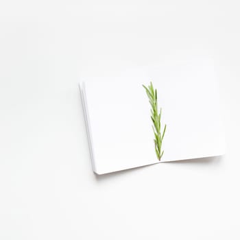 Flat lay overhead view blank notebook pages mockup text space invitation card on white background with rosemary twig. Menu or recipe book or food blog design with cooking ingredients