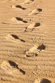 Foot prints on a sand. Vertical shot, small GRIP