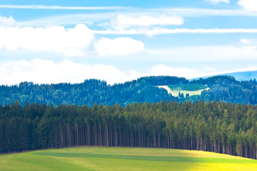 Summer Alps Landscape: Forest and Hills. Horizontal shot