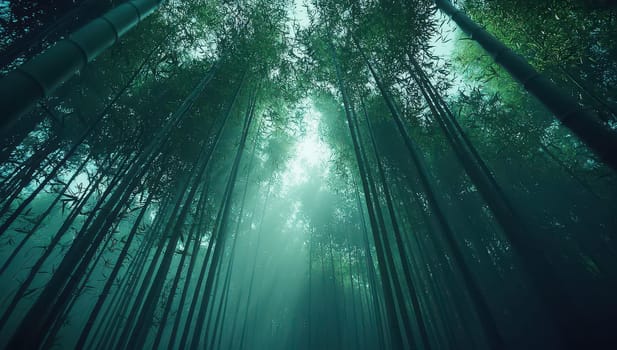 Looking up at a misty bamboo forest. Concept of tranquility, nature, and serenity.