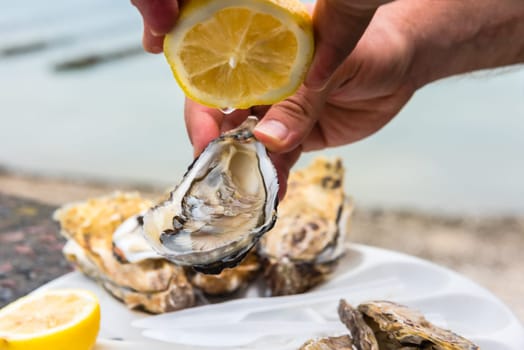 Male hand holding oysters on a plastic plate near the sea