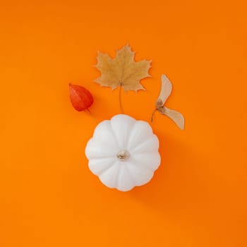 Autumn flat lay composition with white pumpkins and dry leaves on bold orange color background. Creative autumn, thanksgiving, fall, halloween concept. Top view, copy space
