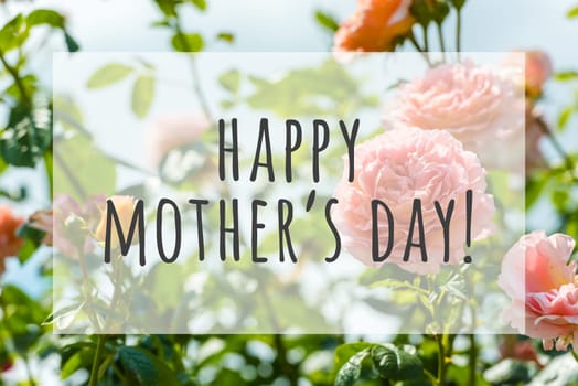 Happy mothers day text on blurred flowers background