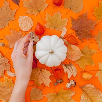 Autumn flat lay composition with white pumpkin in female hands and dry leaves on bold orange color background. Creative autumn, thanksgiving, fall, halloween concept. Top view, copy space