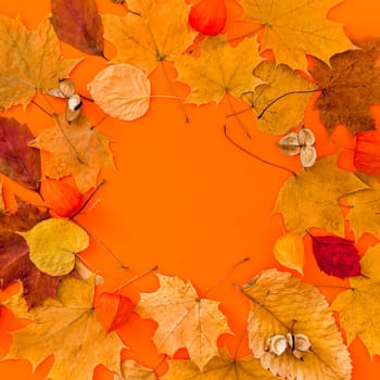 Autumn flat lay composition with dry leaves wreath frame on bold orange color background. Creative autumn, thanksgiving, fall, halloween concept. Top view, copy space