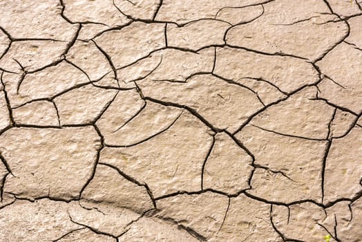 details of a dried cracked earth soil. background
