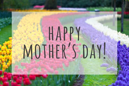 Happy mothers day text on blurred flowers background