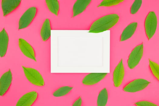 Creative flat lay top view pattern with fresh green leaves on bright pink background with white frame mock up and copy space in minimal pop art style, template for text