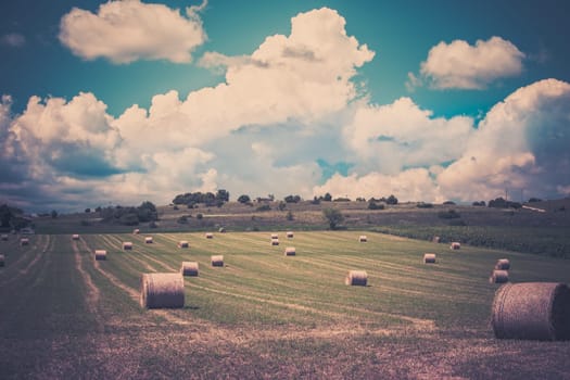 Rural landscape with Farmland and Straw bales in Provence, France