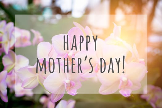 Happy mothers day text on blurred flowers background