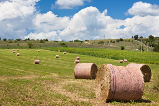 Rural landscape with Farmland and Straw bales in Provence, France