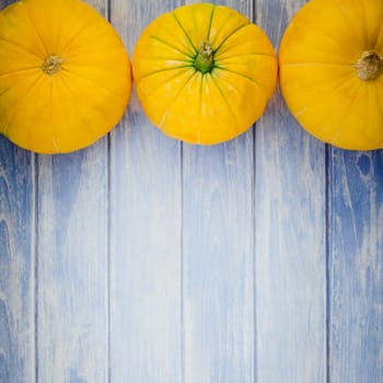 Top view of autumn orange pumpkins thanksgiving background over blue toned wooden table with copy space. Square Template for fall harvest mood text