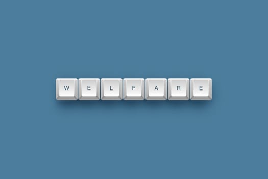 Welfare text on a 3d keyboard button with shadow, 3d illustration