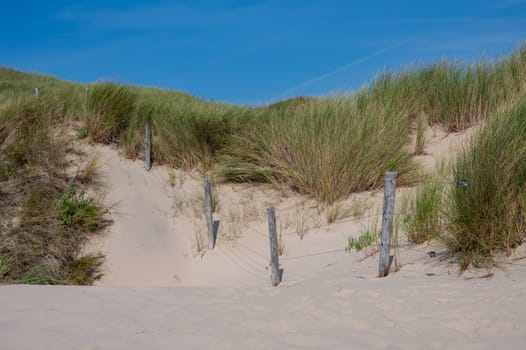 Barbed wire fence in the sand dunes with beach grass, blue sky and clouds