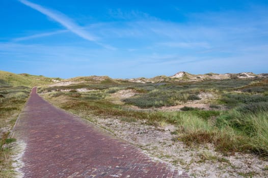 Cycling and hiking trails in a dune landscape, in a nature reserve near Egmond aan Zee in the Netherlands