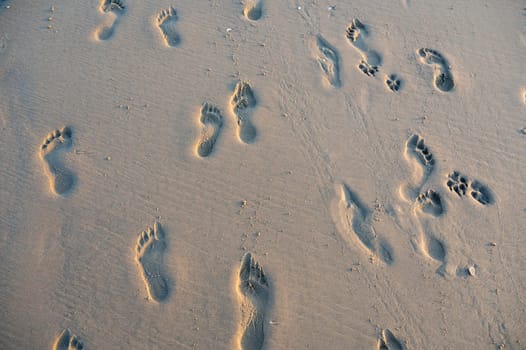 Many footprints in the wet sand by the sea, in the evening light
