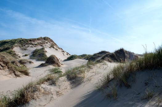 Dunes landscape  with beach grass on the North Sea coast in the Netherlands