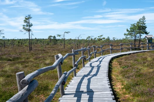 Black moor in the Rhoen, Bavaria, Germany, in summer  with Heather and  a new moor path