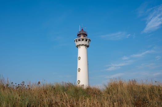 The approx. 28 m high white lighthouse J.C.J. van Speijk in Egmond aan Zee, North Holland, Netherlands, in the sand dunes with beach grass