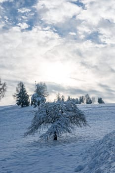 Ski resort at Engländer in Spessart, Bavaria, Germany. With a tree full of snow in the foreground and bright sun