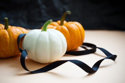 Autumn orange and white pumpkins thanksgiving halloween black ribbon background wooden box with copy space. Template for fall harvest mood text