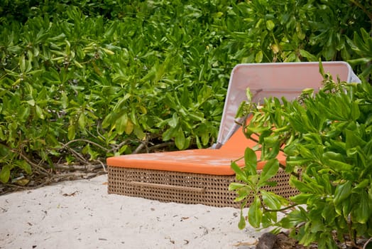 beach bed on white sand among palm trees in full sun