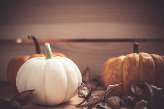 Autumn orange and white pumpkins thanksgiving halloween background wooden box with copy space. Template for fall harvest mood text