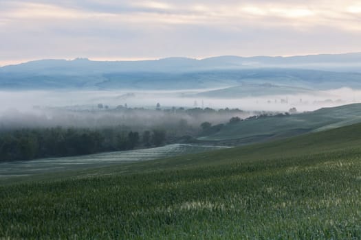Morning fog view on farmland at Valley d?Orcia in Tuscany, Italy