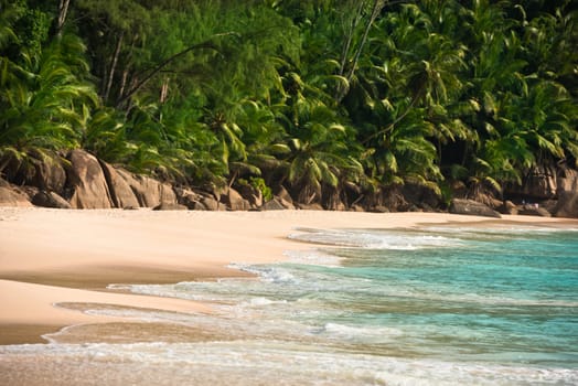Tropical beach at Mahe island Seychelles in sunny day