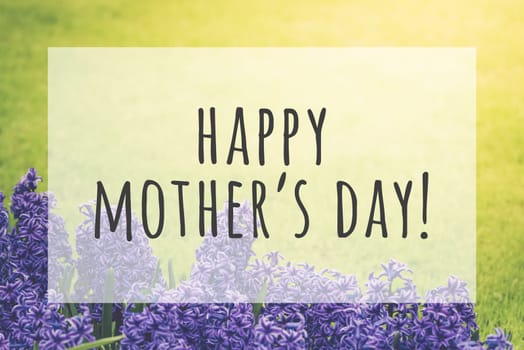 Happy mothers day text on blurred flowers background
