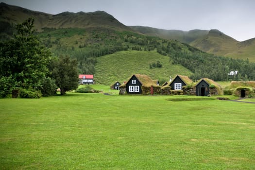 Overgrown Old Typical Rural Icelandic houses at overcast day