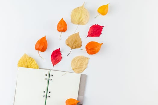 Creative Top view flat lay autumn composition. Notebook dried orange flowers leaves background copy space. Template notepad mockup fall harvest thanksgiving halloween anniversary invitation cards