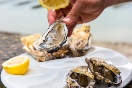 Male hand holding oysters on a plastic plate near the sea