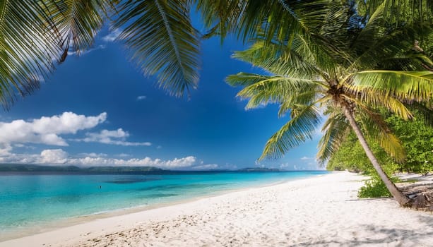 tropical beach landscape with palm trees by the sea