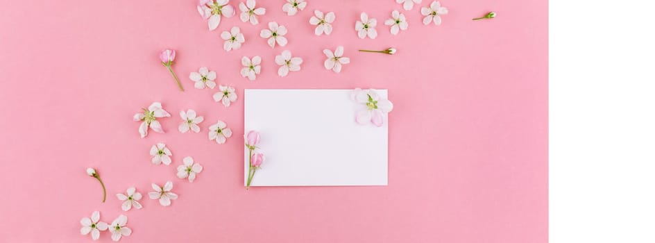 Creative flat lay long wide banner of blank letter envelope and spring cherry tree flowers on millennial pink background with copy space in minimal style, template for celebration, valentine cards