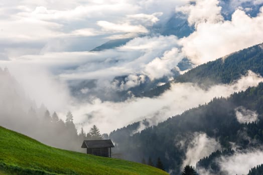 Small alpine house in green forest mountains in the foggy morning
