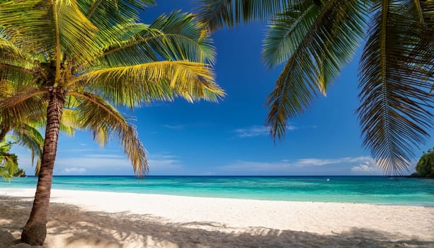 tropical beach landscape with palm trees by the sea