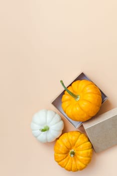 Creative Top view flat lay autumn composition. Frame concept pumpkins color paper background copy space. Template fall harvest thanksgiving halloween anniversary invitation cards