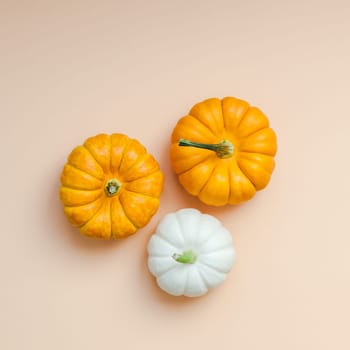Creative Top view flat lay autumn composition. Frame concept pumpkins color paper background copy space. Square template fall harvest thanksgiving halloween anniversary invitation cards